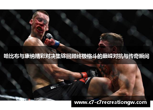 哈比布与康纳精彩对决集锦回顾终极格斗的巅峰对抗与传奇瞬间