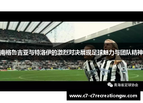 南格鲁吉亚与特洛伊的激烈对决展现足球魅力与团队精神